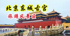 我要看黄色视频操逼的中国北京-东城古宫旅游风景区